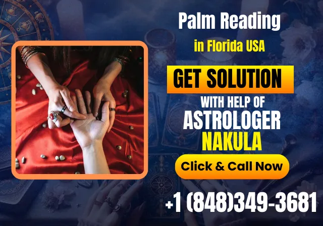 Get Proper Life Insights By Palm Reading in Florida USA
